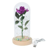 Eternal Flower Glass Cover Beauty And Beast Eternal Flower Rose In Flask Wedding Decor Artificial Flowers Valentine's Day Gifts