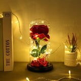 Eternal Flower Glass Cover Beauty And Beast Eternal Flower Rose In Flask Wedding Decor Artificial Flowers Valentine's Day Gifts