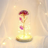 Eternal Flower Glass Cover Beauty And Beast Eternal Flower Rose In Flask Wedding Decor Artificial Flowers Valentine's Day Gifts