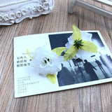 12PCS Simulated Silk Small Rose Flower  DIY Hairpin Flower  Wedding Scarlet  4.5CM